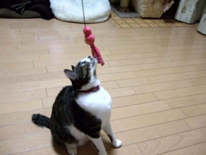 Thumbnail of post image 043