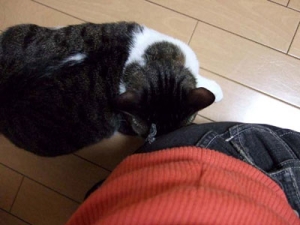 Thumbnail of post image 200