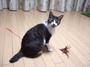 Thumbnail of post image 026