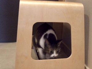 Thumbnail of post image 178