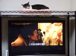 Thumbnail of post image 005