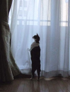 Thumbnail of post image 101