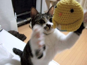 Thumbnail of post image 028