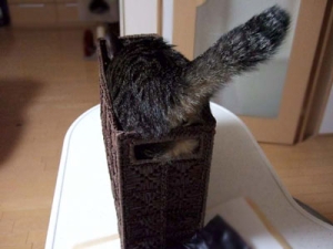 Thumbnail of post image 006