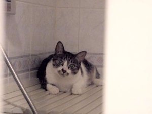 Thumbnail of post image 111