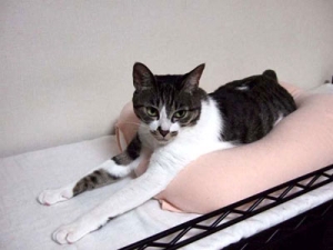 Thumbnail of post image 085