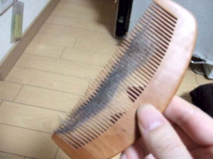 Thumbnail of post image 028