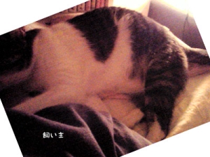 Thumbnail of post image 178