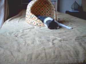 Thumbnail of post image 114