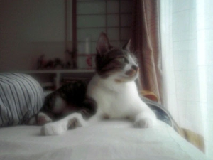 Thumbnail of post image 119
