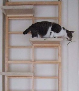 Thumbnail of post image 099