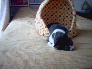 pukbra_090701-142700