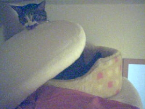 Thumbnail of post image 053