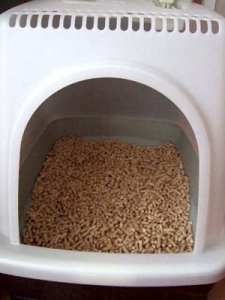 Thumbnail of post image 120