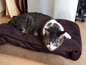 Thumbnail of post image 019