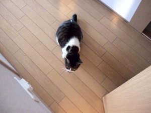 Thumbnail of post image 133