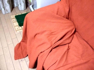 Thumbnail of post image 043