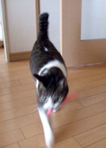 Thumbnail of post image 169