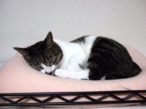 Thumbnail of post image 153
