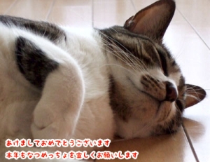 Thumbnail of post image 112