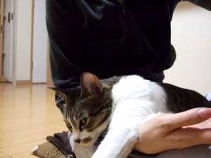 Thumbnail of post image 166