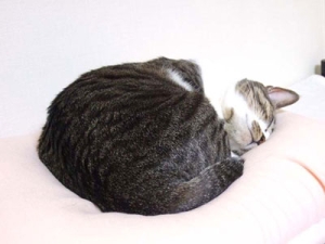 Thumbnail of post image 153