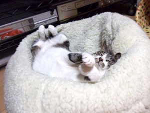 Thumbnail of post image 065