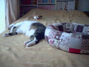 Thumbnail of post image 147