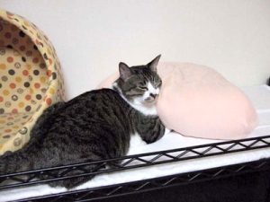 Thumbnail of post image 059