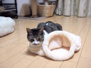 Thumbnail of post image 036