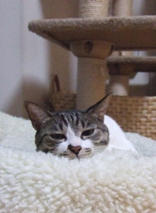 Thumbnail of post image 118