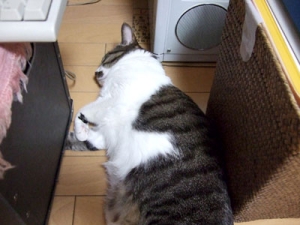 Thumbnail of post image 072