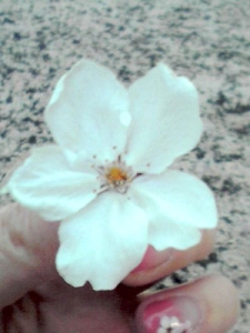 Thumbnail of post image 157