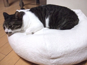 Thumbnail of post image 127