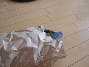 Thumbnail of post image 189