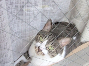 Thumbnail of post image 172