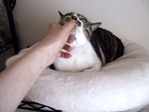 Thumbnail of post image 103