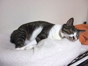 Thumbnail of post image 072