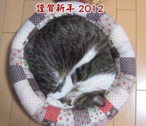 Thumbnail of post image 090