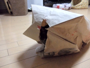 Thumbnail of post image 081