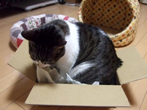 Thumbnail of post image 017