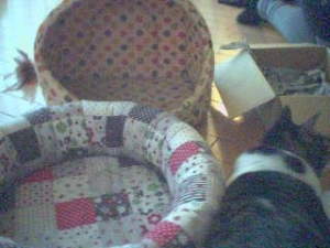 Thumbnail of post image 163