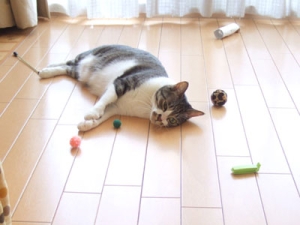 Thumbnail of post image 072
