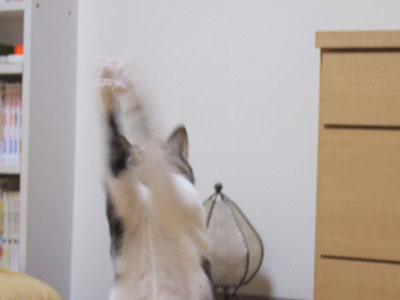 12050505