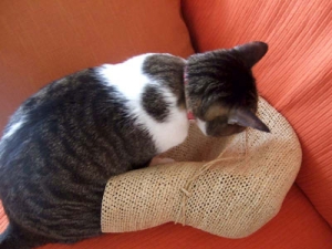 Thumbnail of post image 029