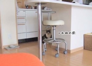 Thumbnail of post image 122