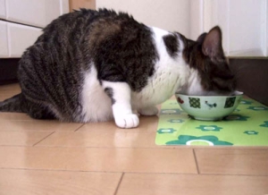 Thumbnail of post image 072