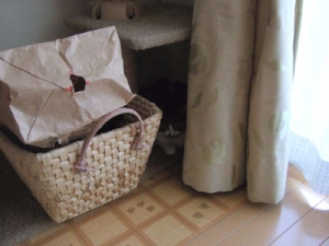 Thumbnail of post image 012