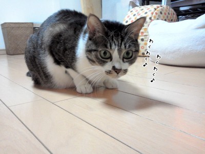 CameraZOOM-2012123120402858
