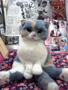 Thumbnail of post image 165